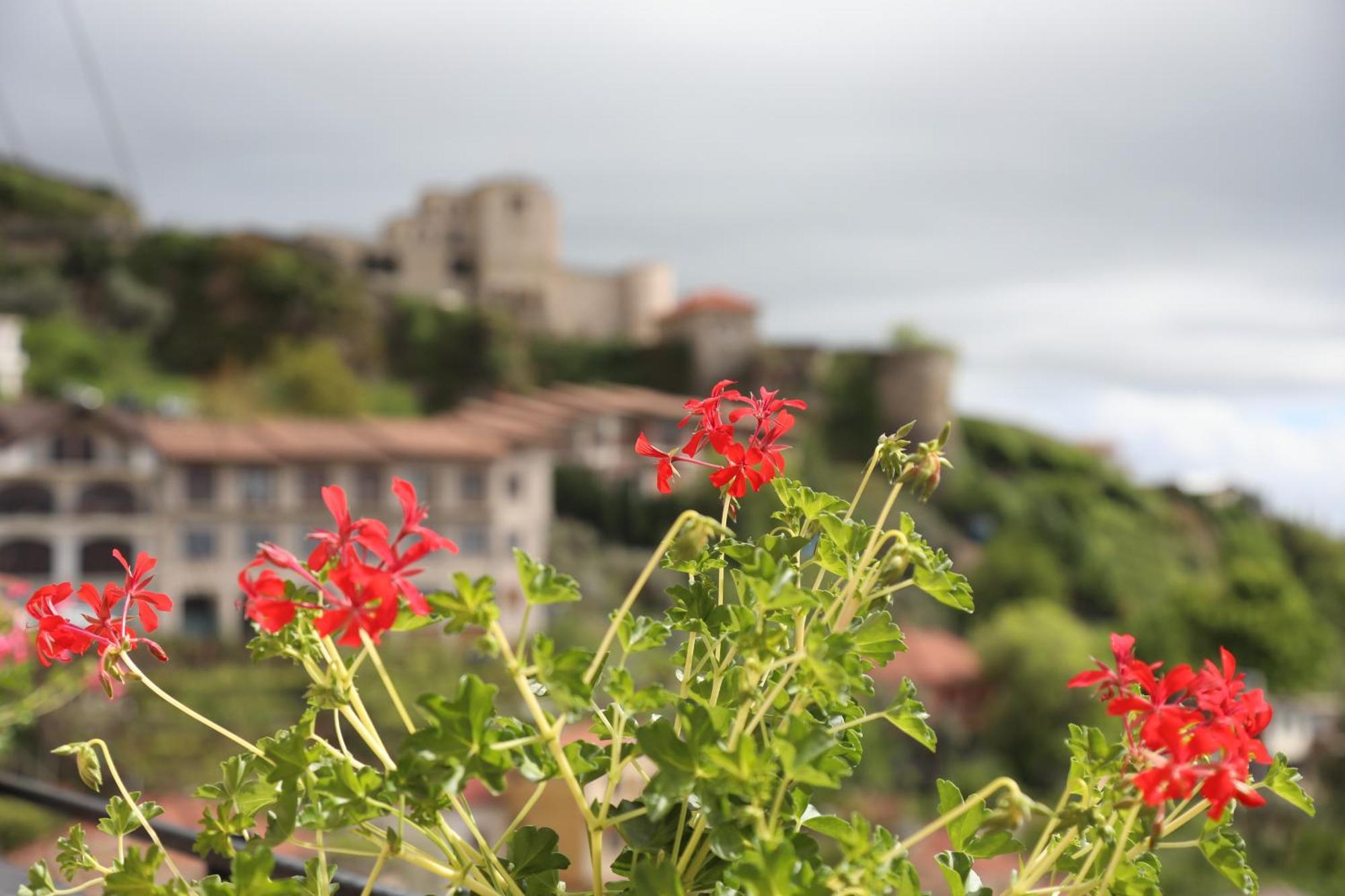--Hotel Deal-- Rooms With Castle View Krujë Buitenkant foto